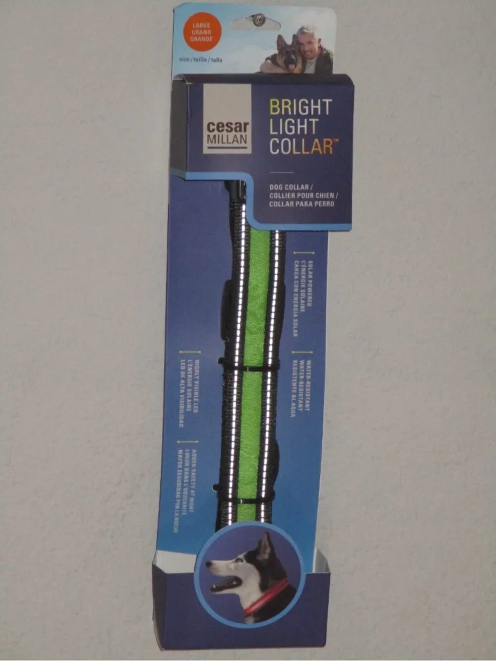 Cesar Millan Bright Light Neon Green Dog Collar Size Large 19.7